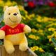 Winnie The Pooh themed coin rises 46% while Memecoin continues to rise despite the bearish trend seen in larger cryptocurrencies such as Bitcoin, Ethereum, Dogecoin