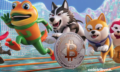 Crypto Memes Outperform Bitcoin: Revolution on the Horizon?