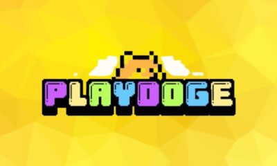 New Meme Coin Pre-Sale for PlayDoge Raises $1.4 Million in First Week