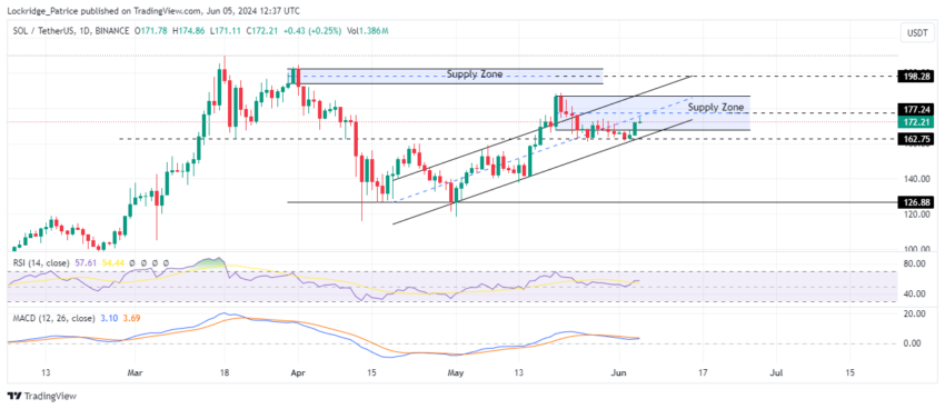 SOL/USD 1-day chart