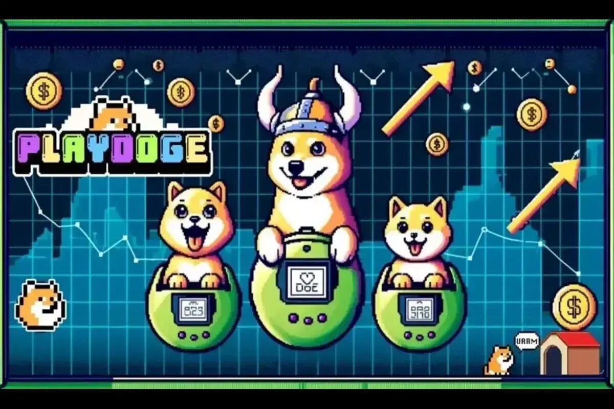 Pre-sale of the PlayDoge Meme coin is approaching $4 million: the next project on the rise in the coming months?