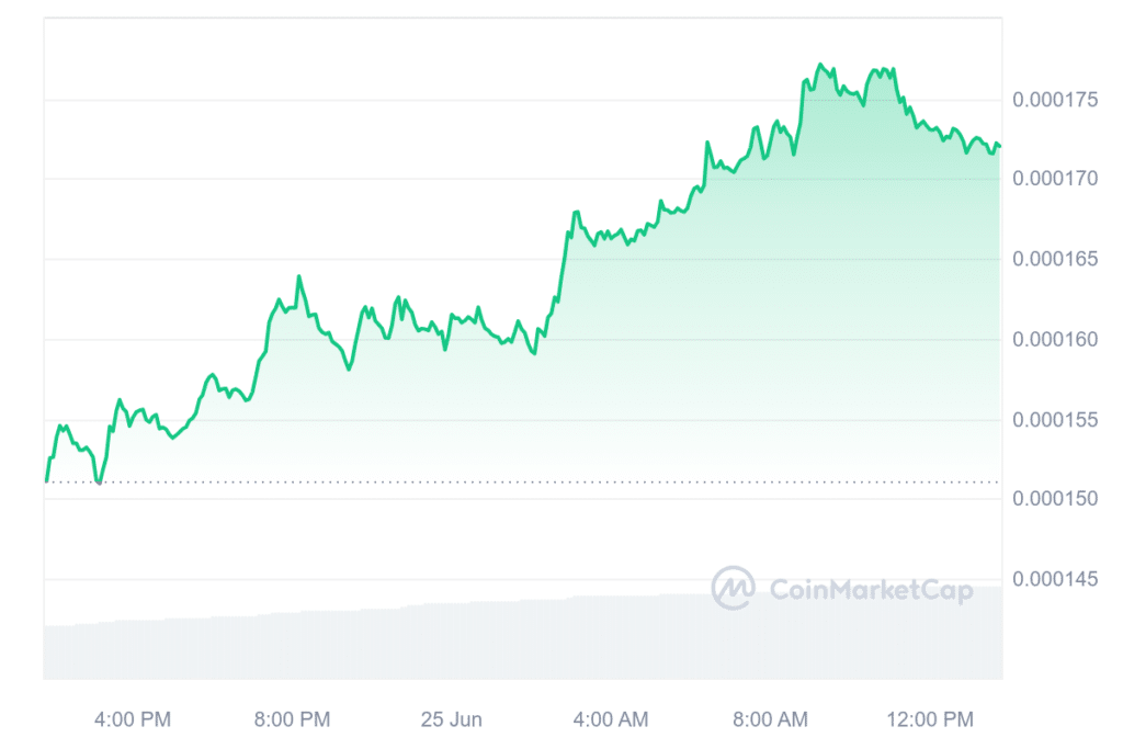 Solana-Based Meme Coins BONK and FLOKI Rise Amid Market Crisis - 2