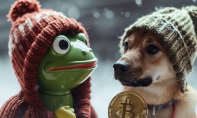 A Top Trader Wonders If “Safer Big Caps Like Pepe and Dogecoin” Will Outperform His Coin Portfolio Meme