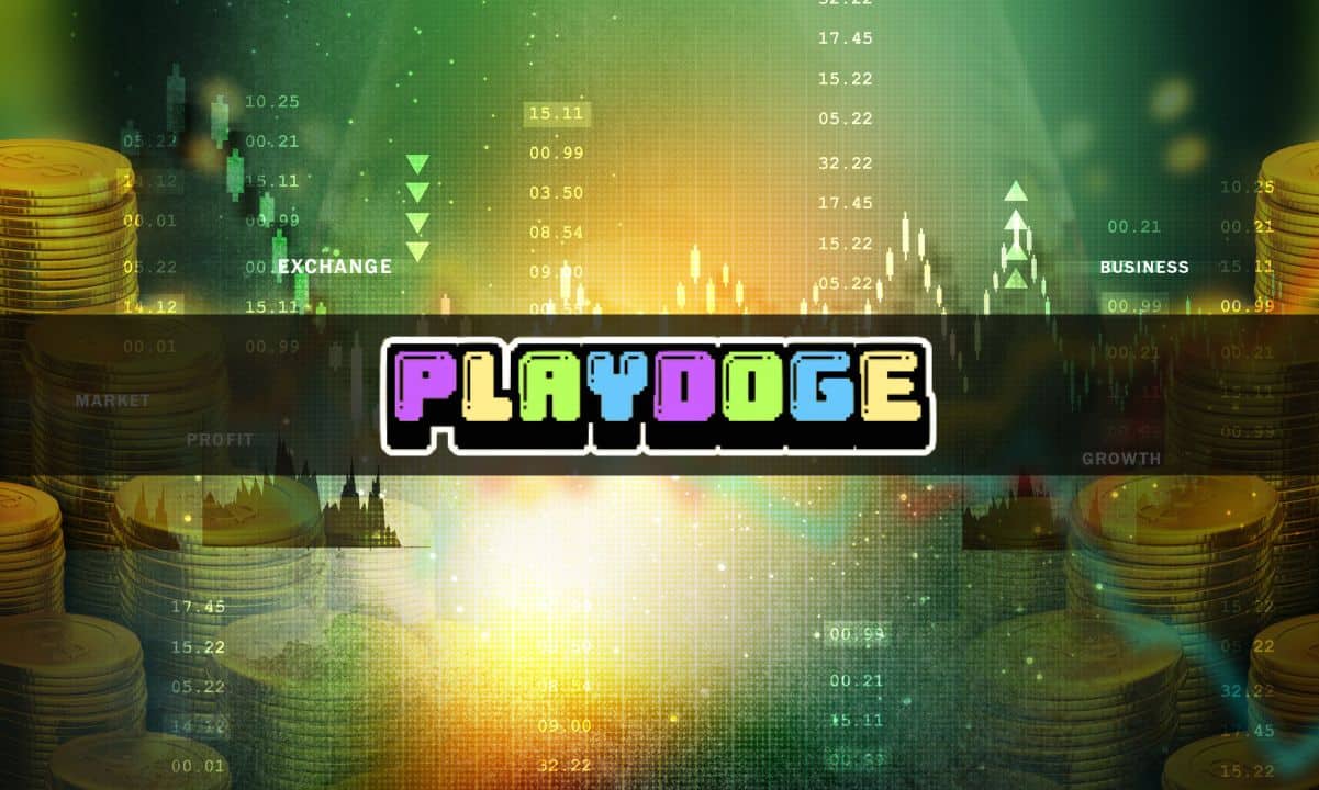 After the success of Memeinator's IEO, could PlayDoge be the next big Meme Coin presale?