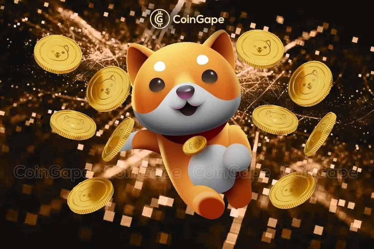 Baby Doge will launch on Solana and build bridges to ETH and BNB