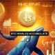 Bitcoin: Big investors on the move – What does the future of BTC hold?