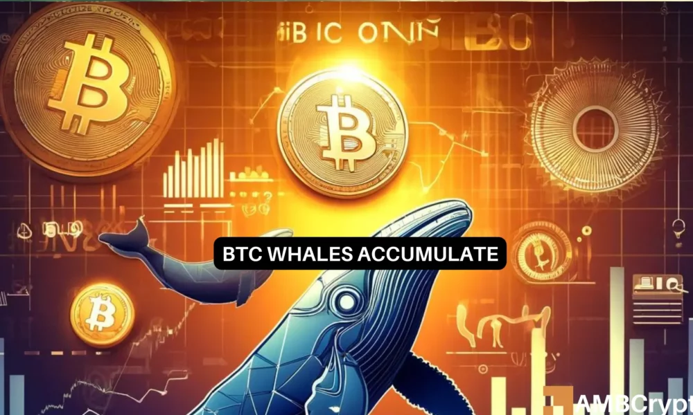 Bitcoin: Big investors on the move – What does the future of BTC hold?