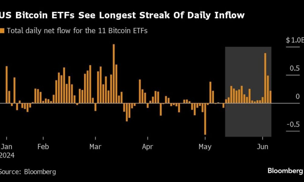 Bitcoin Rally and 'Short Memories' Rekindle Everything in Crypto