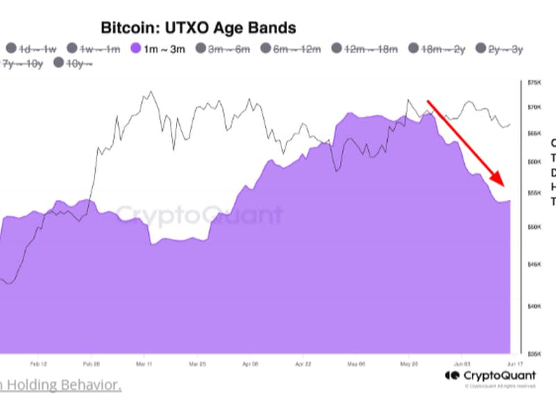 UTXO age groups show lack of demand.  (CryptoQuant)