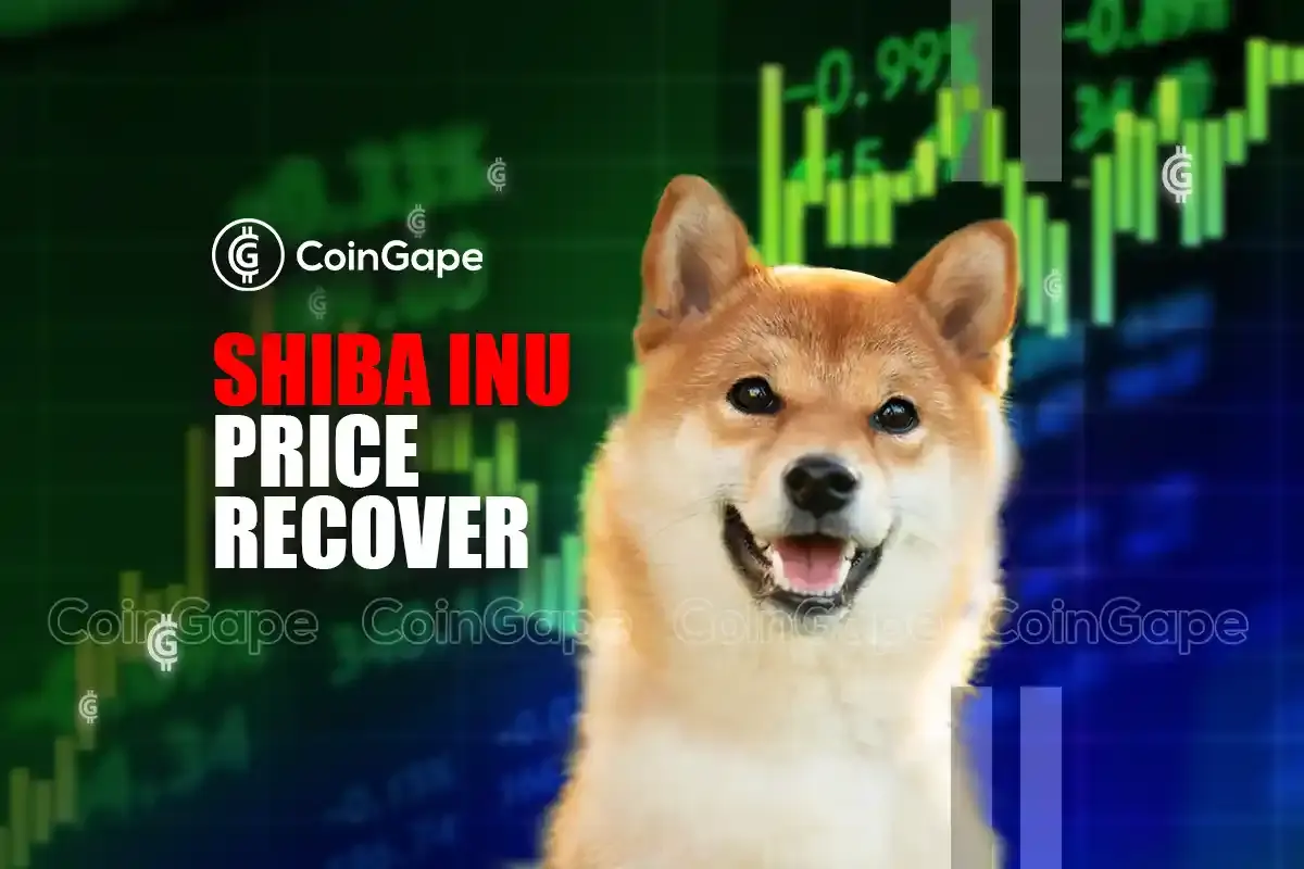 Can Shiba Inu Price Recover in Meme Coin Crash?