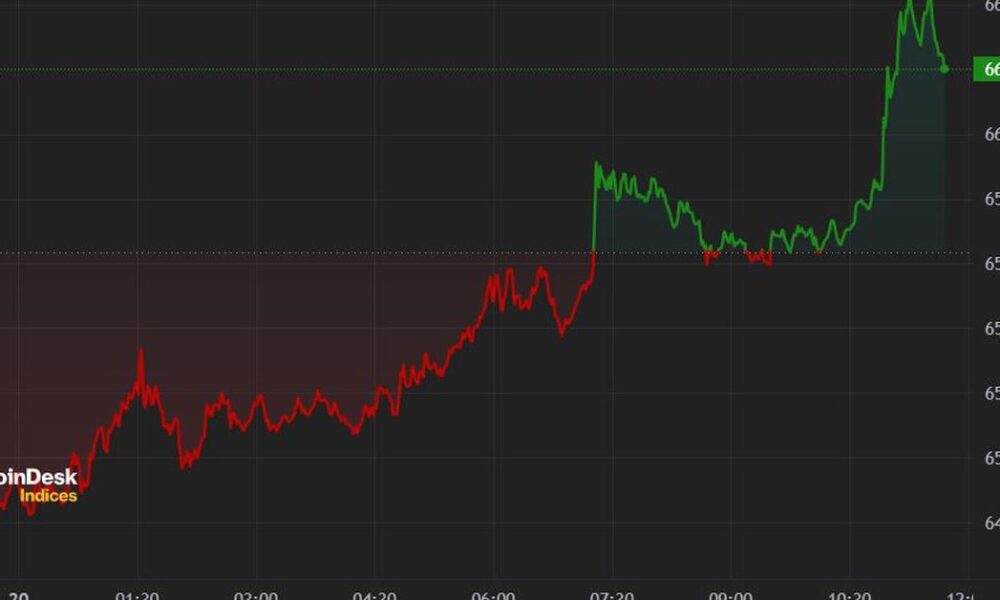 Crypto Assets Rally as BTC Returns to $66K