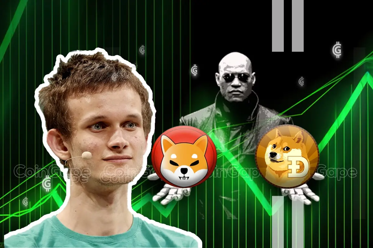 Decoding Vitalik Buterin's Memecoin Matrix: Hope, Hype, or Hoax?