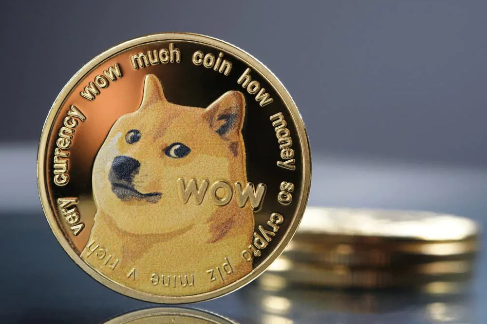 Dogecoin Whales Accumulate Millions, Could This Affect Token Value?