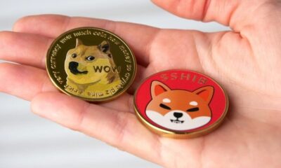 Floki, Dogwifhat, Bonk Post Double-Digit Gains as Dogecoin and Shiba Inu Also Shake Off Broader Market Massacre - Emeren Group (NYSE:SOL)