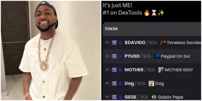 JUST IN: Investing in Davido’s meme coin is 'highly risky', SEC warns