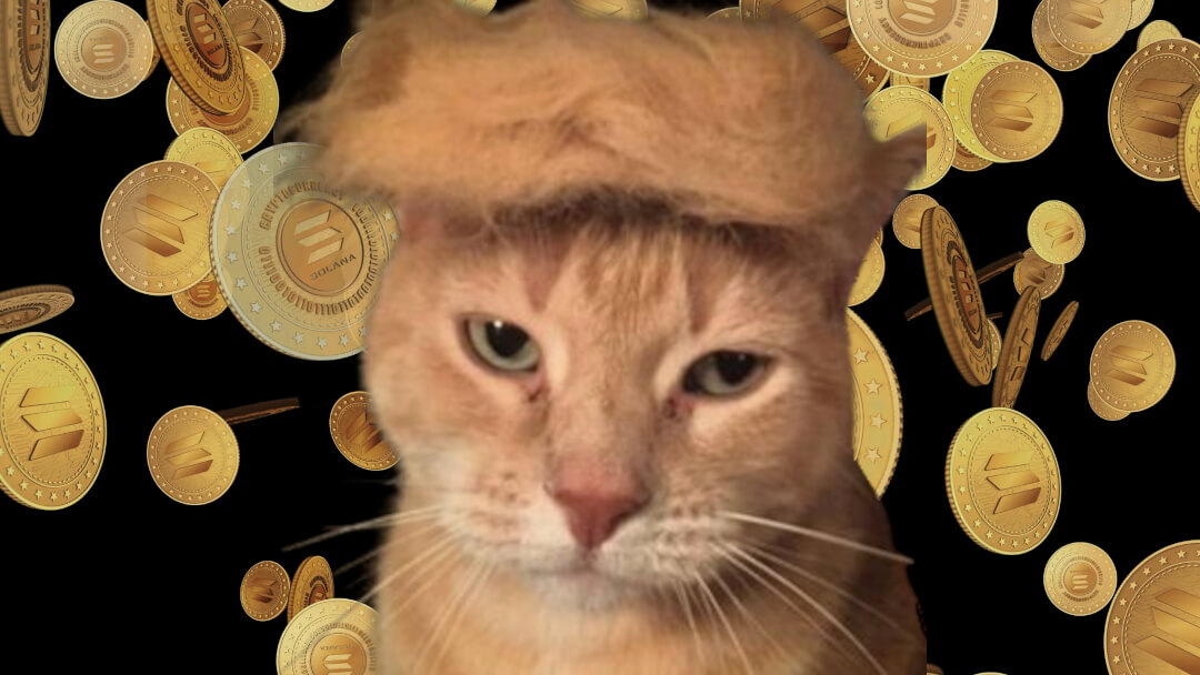 “Meowing America Great Again”: This new PolitiFi cat-and-Trump memecoin launches today