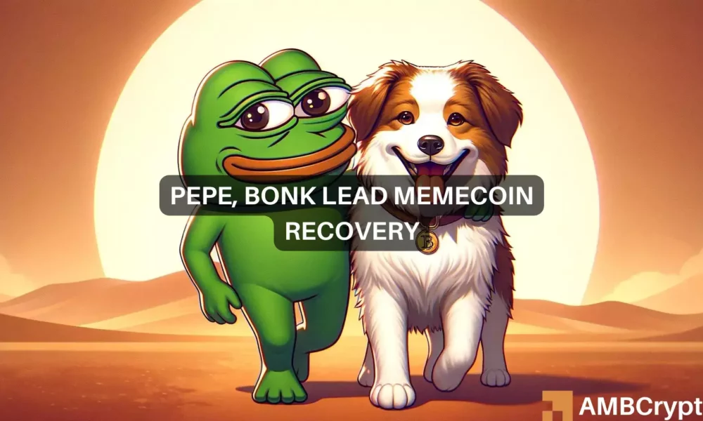 Pepe and Bonk lead memecoin recovery amid broader market decline