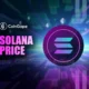 Solana and Cardano lead crypto rebound top 10