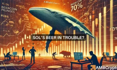 Solana’s BEERCOIN plunges 70%: Whale manipulation at stake?