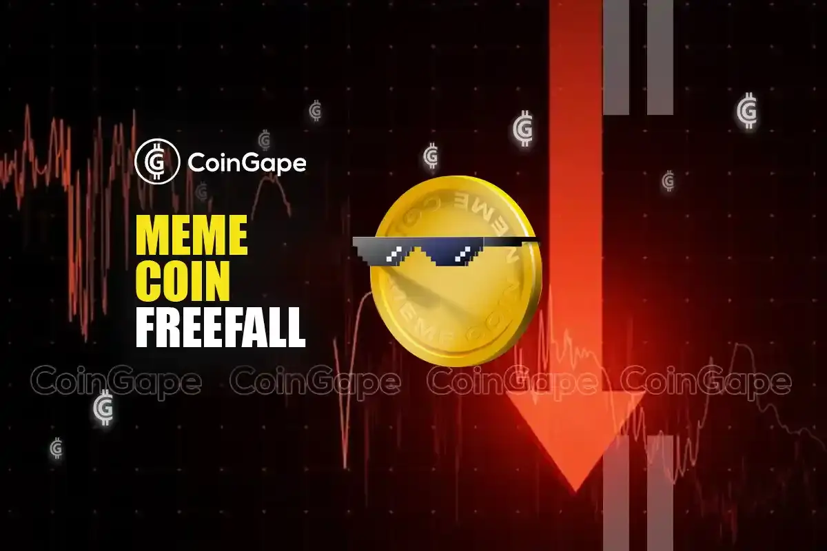 The Free Fall of Meme Coins: What You Should Know