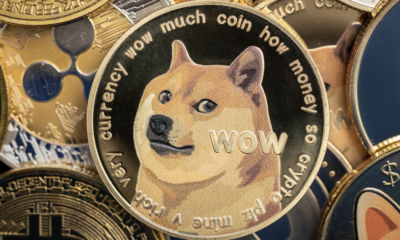 The rise, risks, and rewards of meme coins in crypto culture