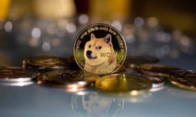 Whales pour $110 million into DOGE, betting big on meme coin surge