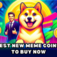 Which Memecoins will be the next Shiba Inu?  Business.  ButtChain, Popcat, Brett and more!