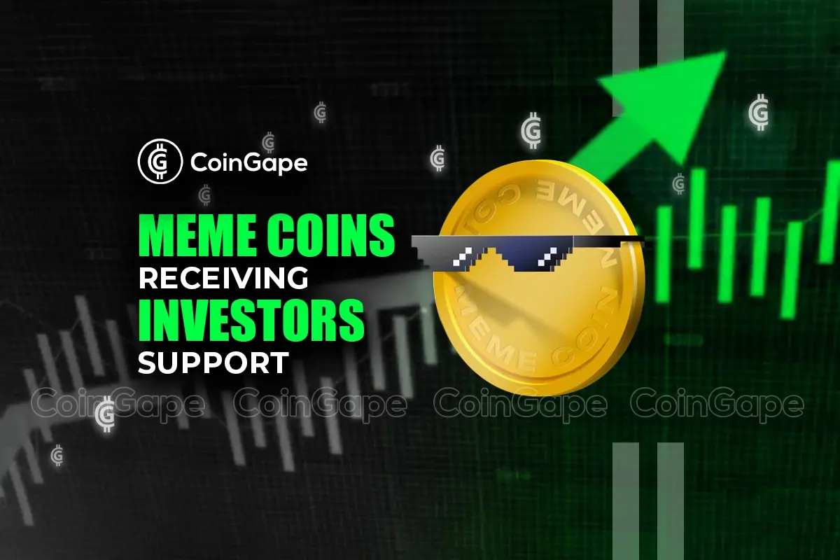 Which meme coins are receiving investor support today?