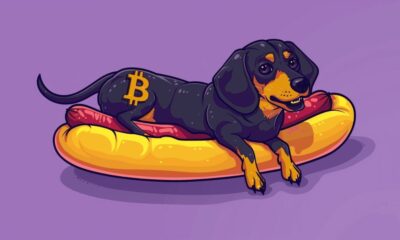 WienerAI sees SHIB holders moving capital into dog-based AI crypto gem