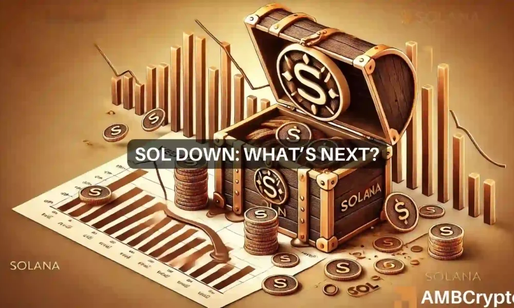 Will Solana's recovery be delayed?  What worries investors?