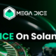 Top 4 Solana Meme Coins To Buy Before The July Rally