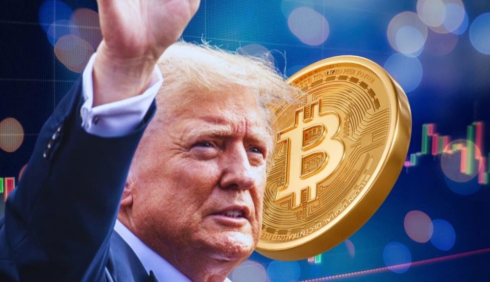 Donald Trump's cryptocurrency portfolio peaked at $33 million, now down to $8 million. How much did he lose last month?