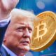 Donald Trump's cryptocurrency portfolio peaked at $33 million, now down to $8 million. How much did he lose last month?