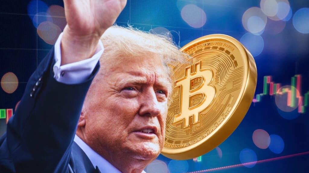 Donald Trump's cryptocurrency portfolio peaked at $33 million, now down to $8 million. How much did he lose last month?