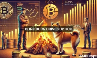 BONK News Today: Token Burn Proposal Boosts Memecoin by 23%