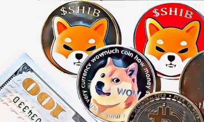 Cat Meme Coins Set to Surpass Dog Coins in 2024 as $MOG Leads Rally