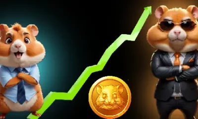 Hamster Kombat Token Skyrockets 10000%! Huge Opportunity!