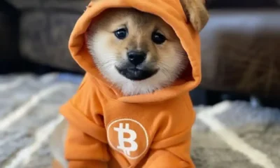 Meme Coin DOG GO TO THE MOON Surge: who will be next?