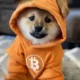 Meme Coin DOG GO TO THE MOON Surge: who will be next?