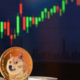 Meme Coin Trends 2024 To Watch