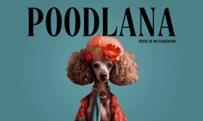 Poodlena: The New Trendsetter Meme Coin Ready to Launch on Solana