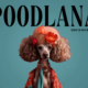 Poodlena: The New Trendsetter Meme Coin Ready to Launch on Solana