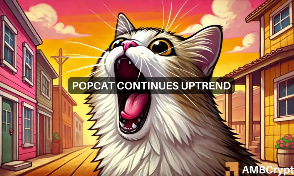 Solana's Popcat Becomes Volatile - Is a Profit Opportunity Emerges?