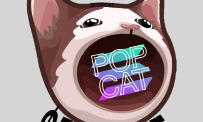 Solana's Popcat Nears $1 Billion Market Cap After Hitting ATH