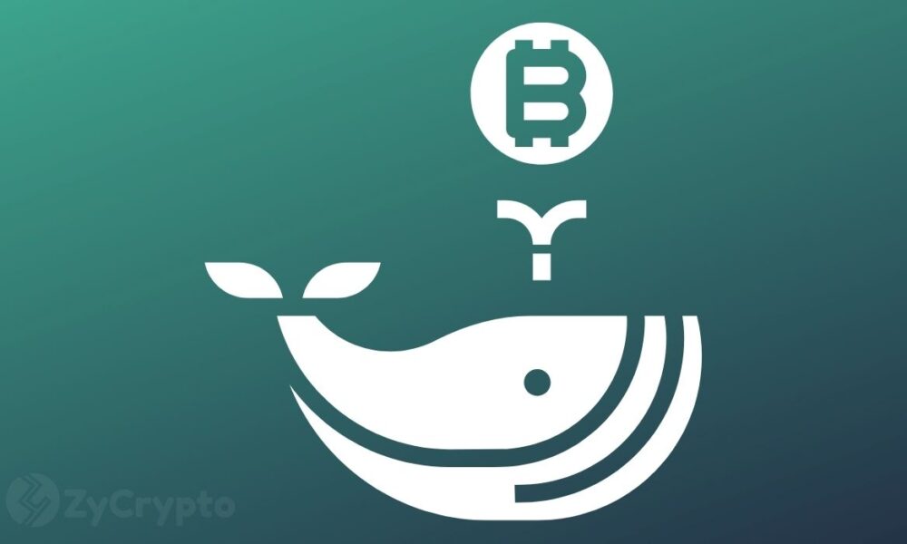 XRP, Shiba Inu, Solana, Cardano: A New Major Bull Cycle as Whales Buy 71,000 BTC in a Week ⋆ ZyCrypto