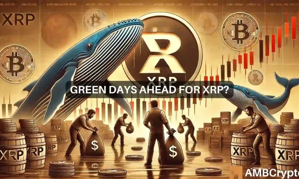 XRP Whales Accumulate More Tokens Despite Price Drop: Recovery Coming?