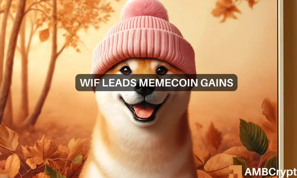 dogwifhat dominates memecoins, jumps 20% in a week: what next?